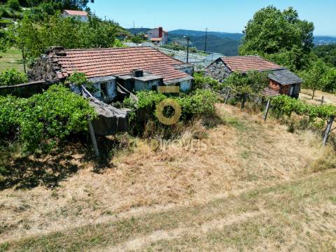 Quinta T4 Venda em Fornelos,Cinfães