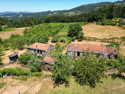 Quinta T4 Venda em Fornelos,Cinfães