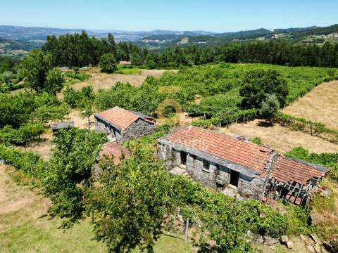 Quinta T4 Venda em Fornelos,Cinfães