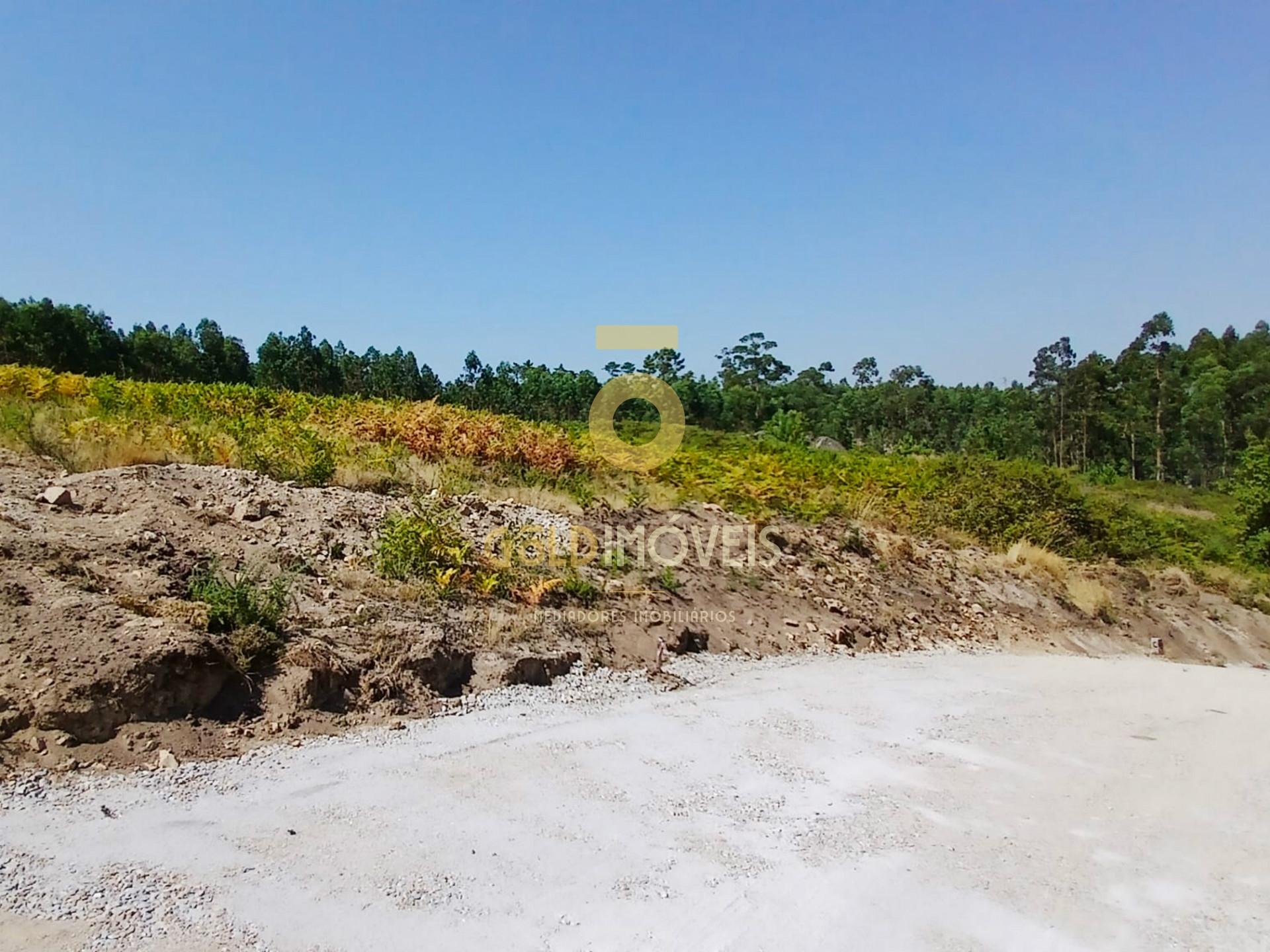 Terreno  Venda em Recezinhos (São Martinho),Penafiel