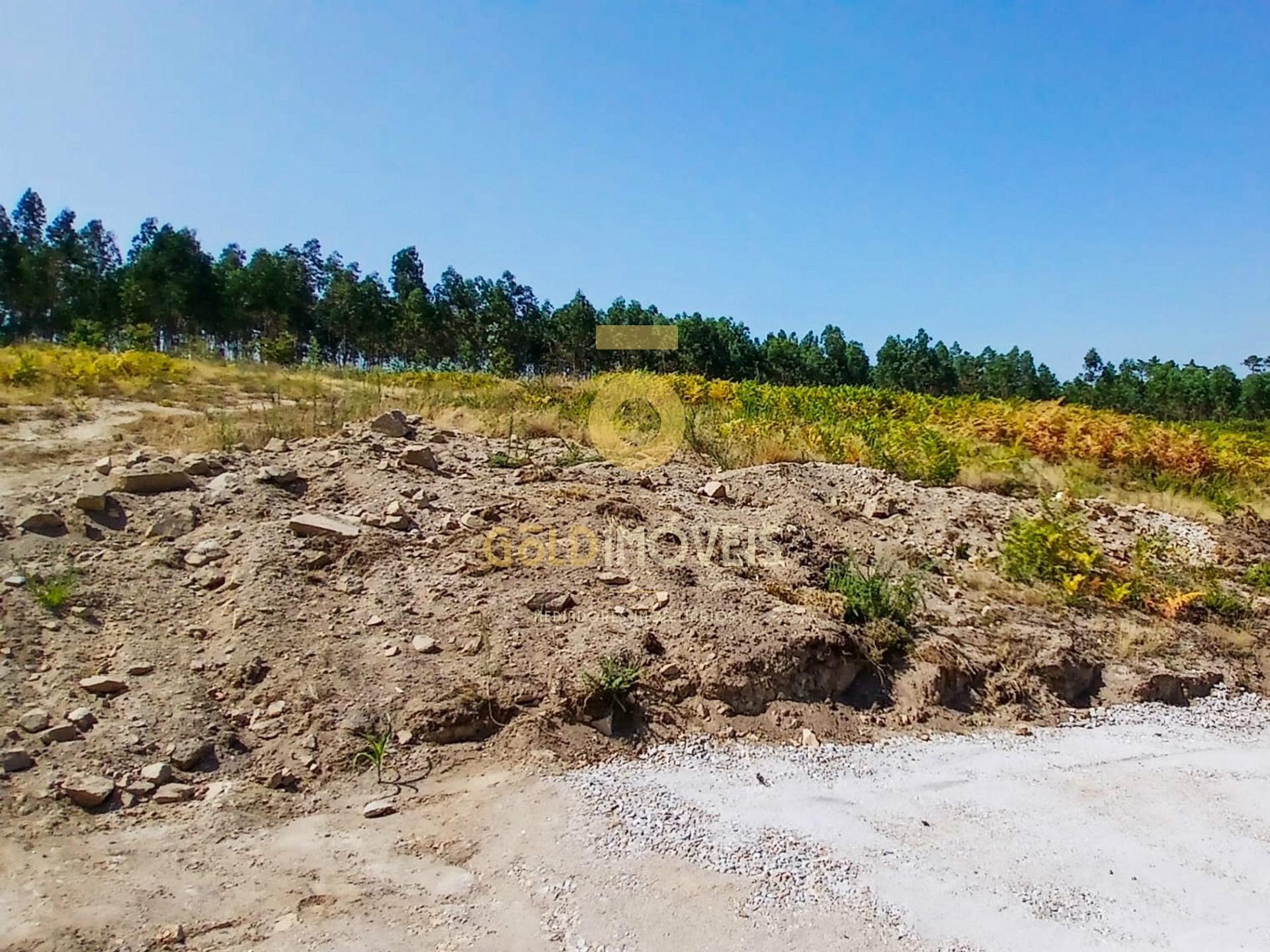 Terreno  Venda em Recezinhos (São Martinho),Penafiel
