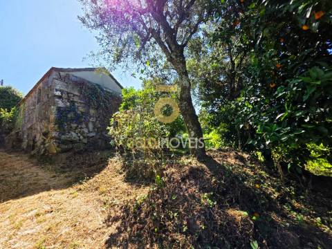 Moradia Geminada T3 Venda em Fornelos,Cinfães
