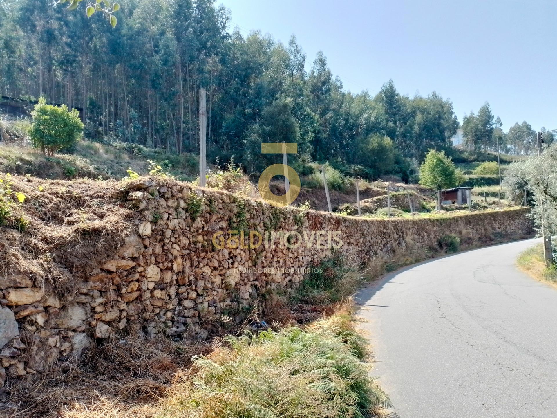Terreno Rústico  Venda em Raiva, Pedorido e Paraíso,Castelo de Paiva