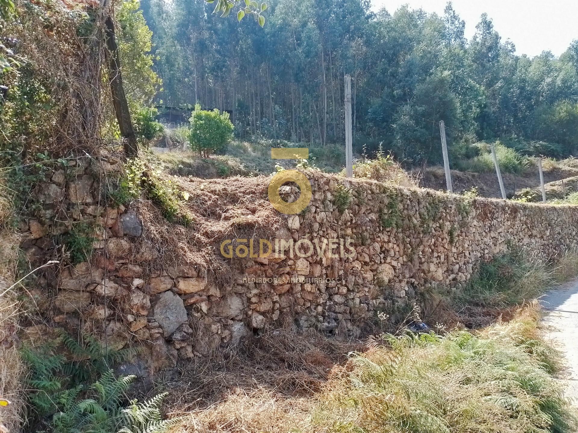 Terreno Rústico  Venda em Raiva, Pedorido e Paraíso,Castelo de Paiva