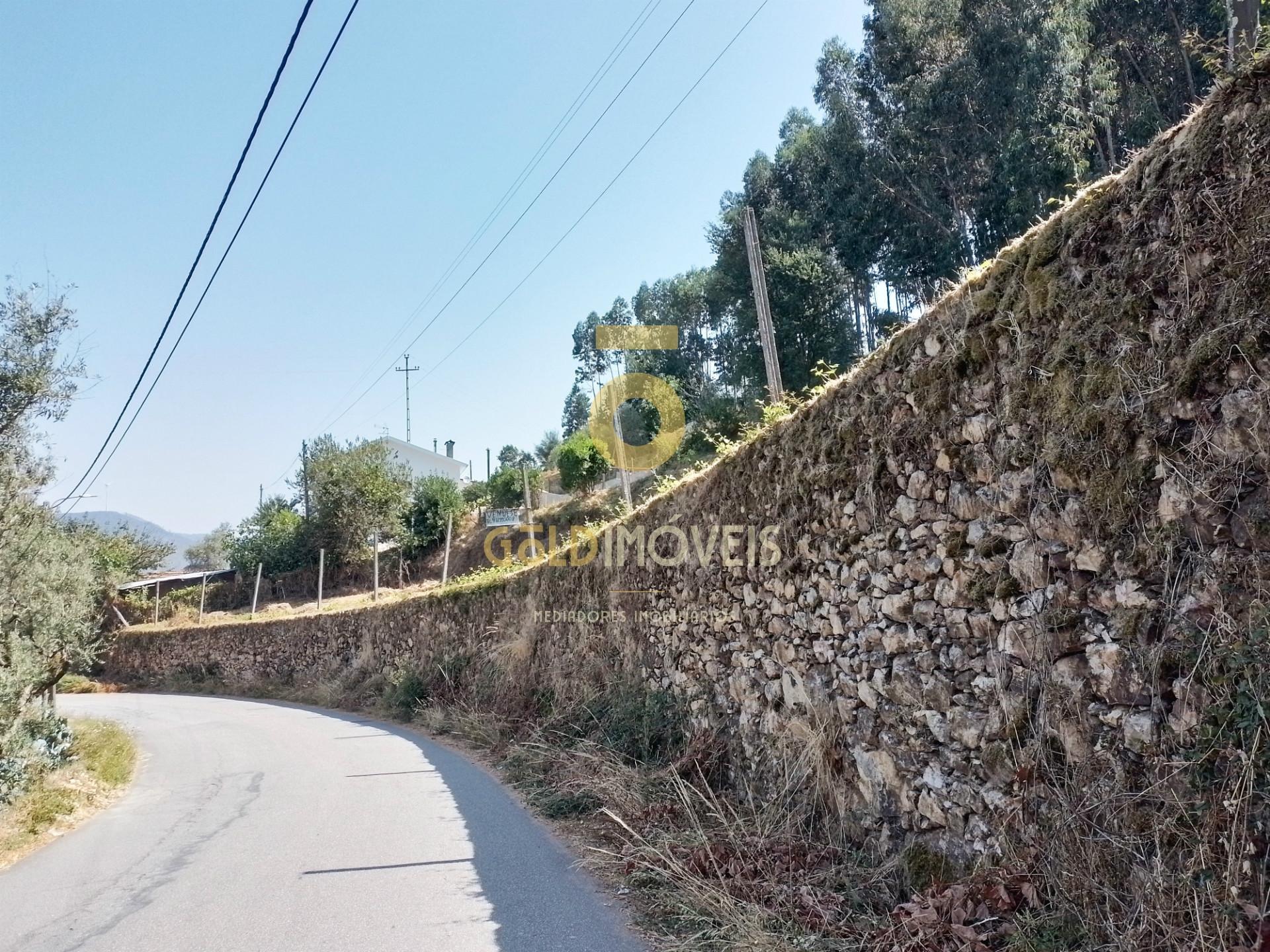 Terreno Rústico  Venda em Raiva, Pedorido e Paraíso,Castelo de Paiva