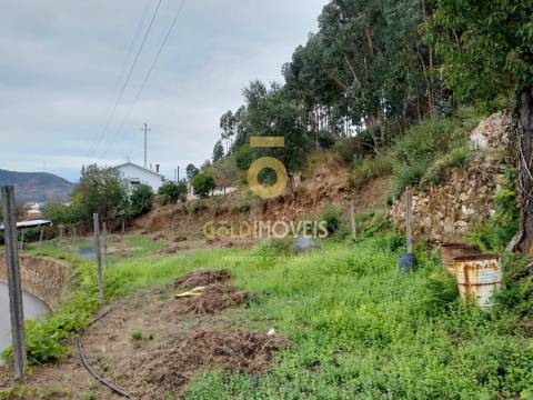 Terreno Rústico  Venda em Raiva, Pedorido e Paraíso,Castelo de Paiva