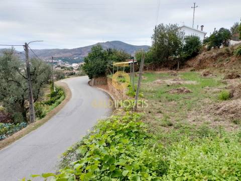 Terreno Rústico  Venda em Raiva, Pedorido e Paraíso,Castelo de Paiva