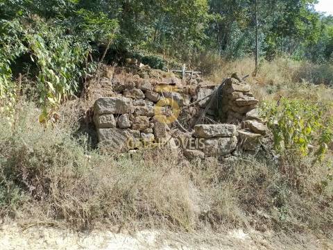 Terreno Rústico  Venda em São Cristóvão de Nogueira,Cinfães