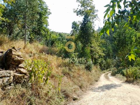Terreno Rústico  Venda em São Cristóvão de Nogueira,Cinfães