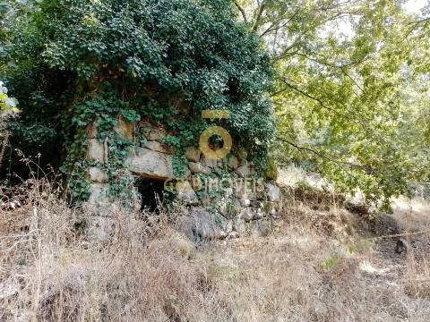Terreno Rústico  Venda em São Cristóvão de Nogueira,Cinfães