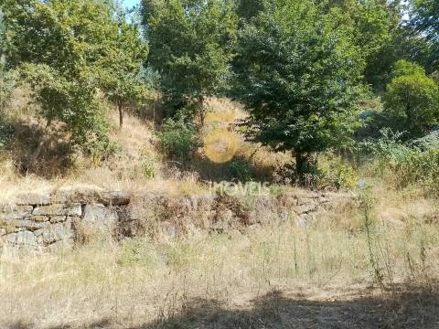 Terreno Rústico  Venda em São Cristóvão de Nogueira,Cinfães