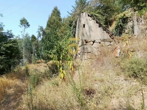 Terreno Rústico  Venda em São Cristóvão de Nogueira,Cinfães