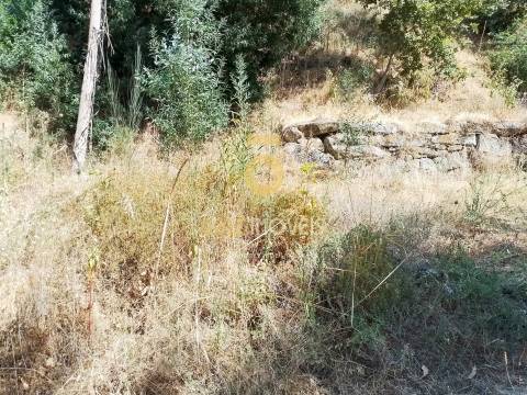 Terreno Rústico  Venda em São Cristóvão de Nogueira,Cinfães