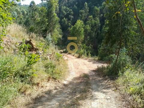 Terreno Rústico  Venda em São Cristóvão de Nogueira,Cinfães
