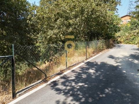 Terreno Rústico  Venda em São Cristóvão de Nogueira,Cinfães