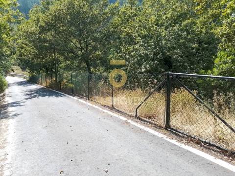 Terreno Rústico  Venda em São Cristóvão de Nogueira,Cinfães