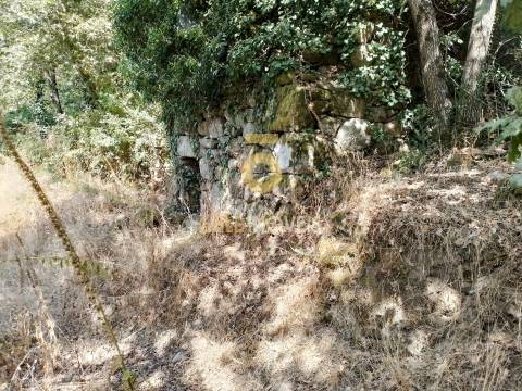 Terreno Rústico  Venda em São Cristóvão de Nogueira,Cinfães