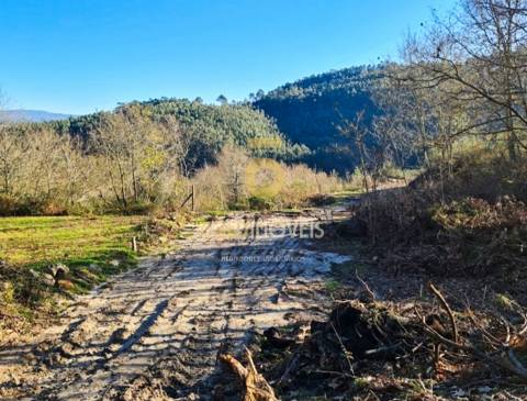 Terreno Para Construção  Venda em Rio de Moinhos,Penafiel