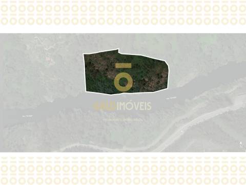 Terreno Para Construção  Venda em Rio de Moinhos,Penafiel