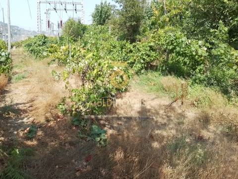 Terreno Rústico  Venda em São Cristóvão de Nogueira,Cinfães