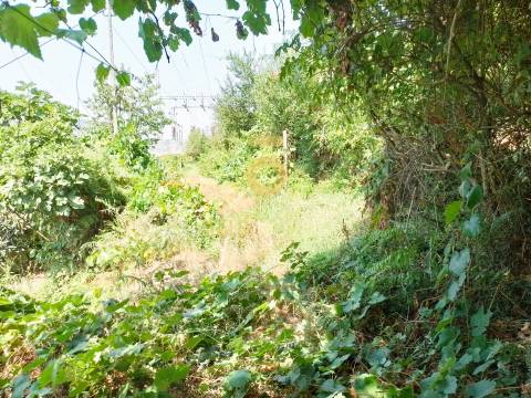 Terreno Rústico  Venda em São Cristóvão de Nogueira,Cinfães