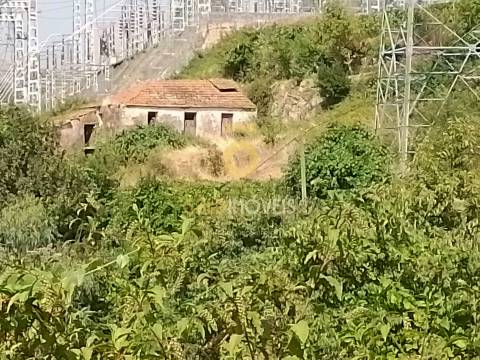 Terreno Rústico  Venda em São Cristóvão de Nogueira,Cinfães