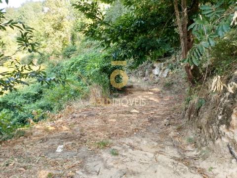 Terreno Rústico  Venda em São Cristóvão de Nogueira,Cinfães