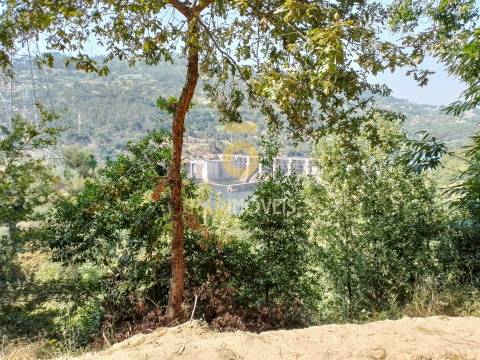 Terreno Rústico  Venda em São Cristóvão de Nogueira,Cinfães