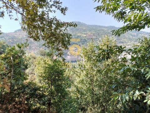 Terreno Rústico  Venda em São Cristóvão de Nogueira,Cinfães