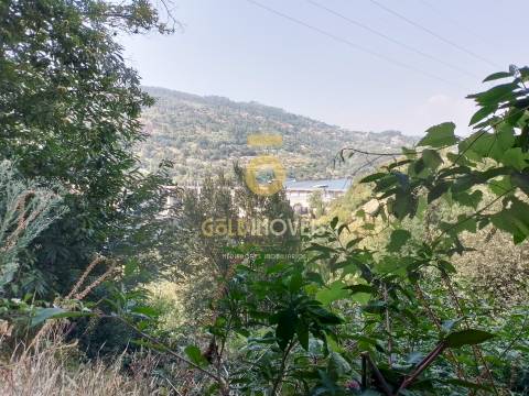 Terreno Rústico  Venda em São Cristóvão de Nogueira,Cinfães