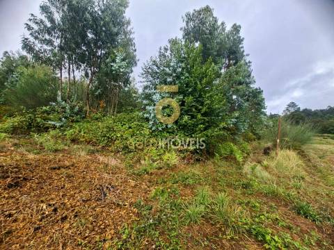 Terreno Para Construção  Venda em Sanguedo,Santa Maria da Feira