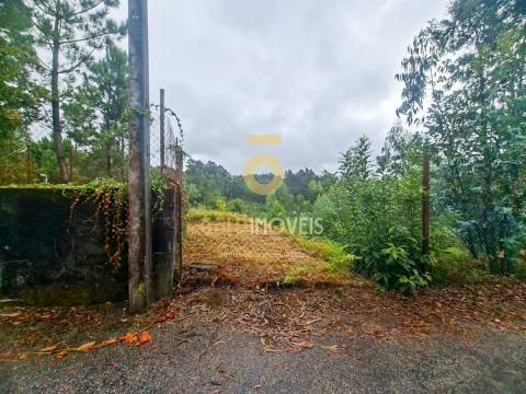 Terreno Para Construção  Venda em Sanguedo,Santa Maria da Feira