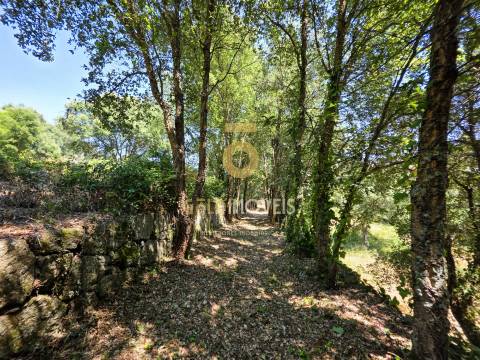 Quinta T4 Venda em Sobrado e Bairros,Castelo de Paiva