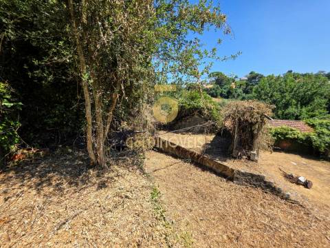 Quinta T4 Venda em Sobrado e Bairros,Castelo de Paiva