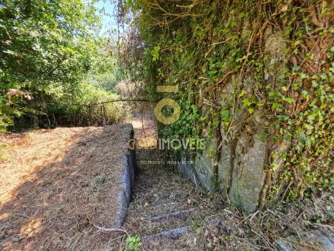 Quinta T4 Venda em Sobrado e Bairros,Castelo de Paiva