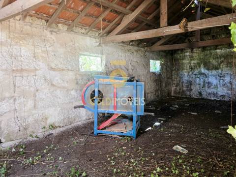 Quinta T4 Venda em Sobrado e Bairros,Castelo de Paiva