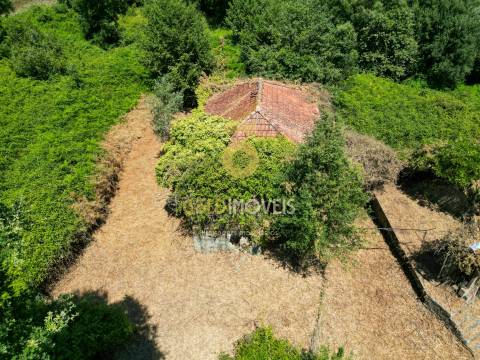 Quinta T4 Venda em Sobrado e Bairros,Castelo de Paiva