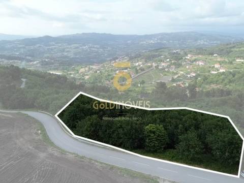 Terreno Rústico  Venda em Tarouquela,Cinfães