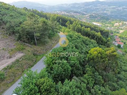 Terreno Rústico  Venda em Tarouquela,Cinfães
