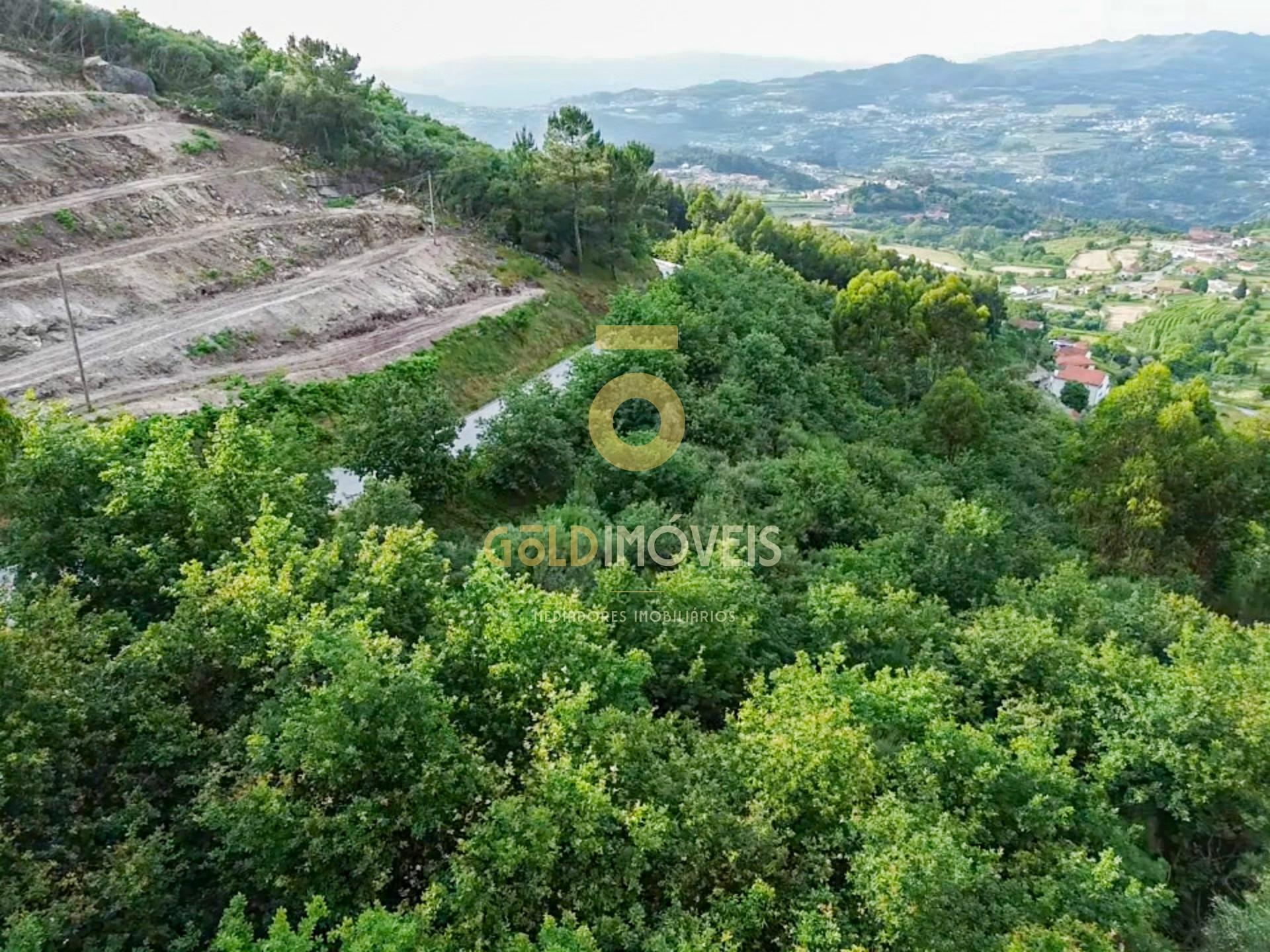 Terreno Rústico  Venda em Tarouquela,Cinfães