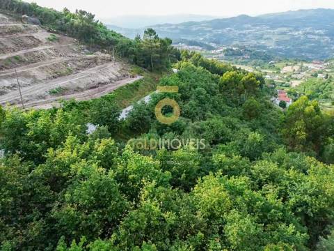 Terreno Rústico  Venda em Tarouquela,Cinfães