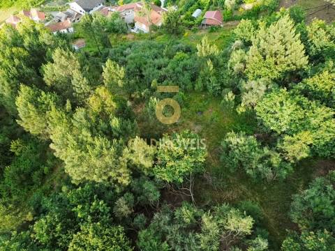 Terreno Rústico  Venda em Tarouquela,Cinfães