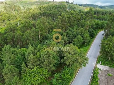 Terreno Rústico  Venda em Tarouquela,Cinfães