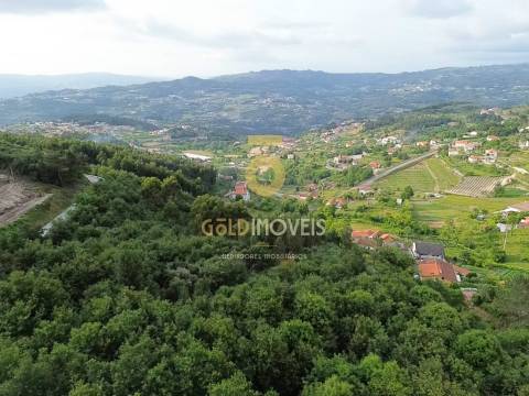 Terreno Rústico  Venda em Tarouquela,Cinfães