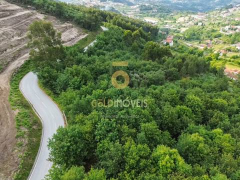 Terreno Rústico  Venda em Tarouquela,Cinfães