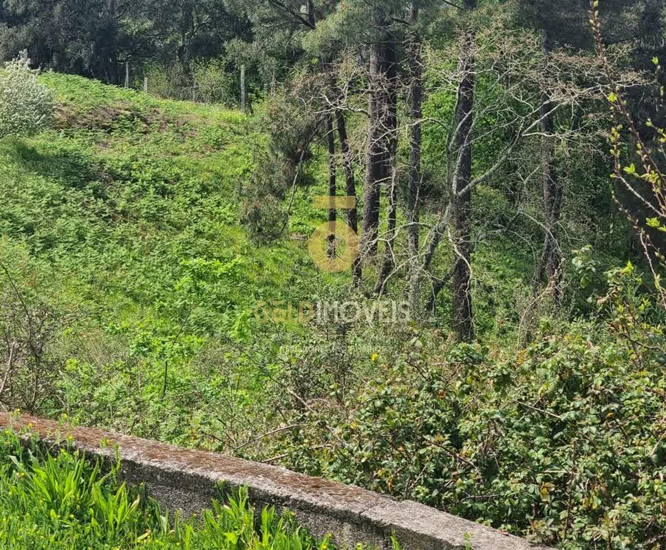 Terreno Para Construção  Venda em Santa Maria de Sardoura,Castelo de Paiva