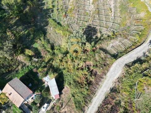 Terreno Para Construção  Venda em Santa Maria de Sardoura,Castelo de Paiva