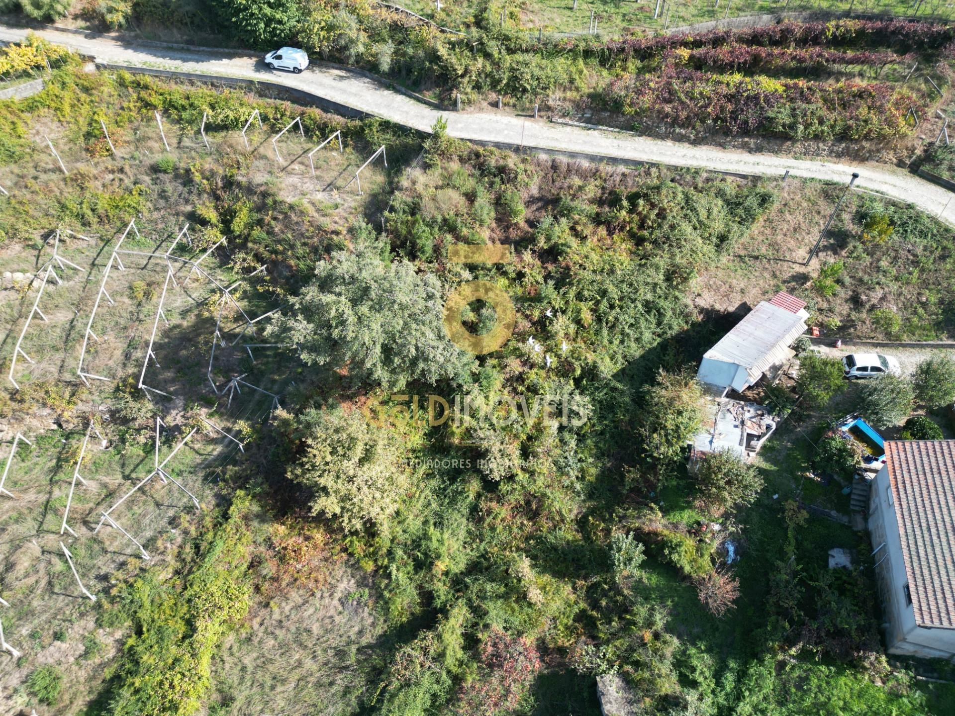 Terreno Para Construção  Venda em Santa Maria de Sardoura,Castelo de Paiva