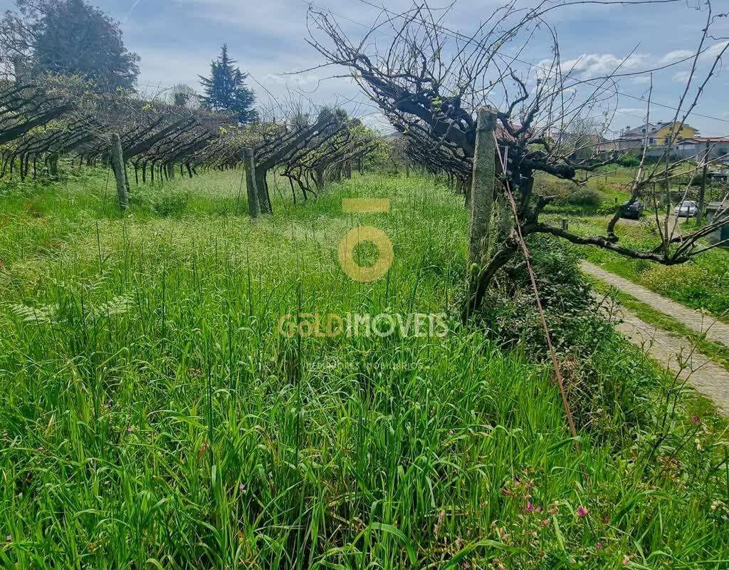 Terreno Para Construção  Venda em Santa Maria de Sardoura,Castelo de Paiva