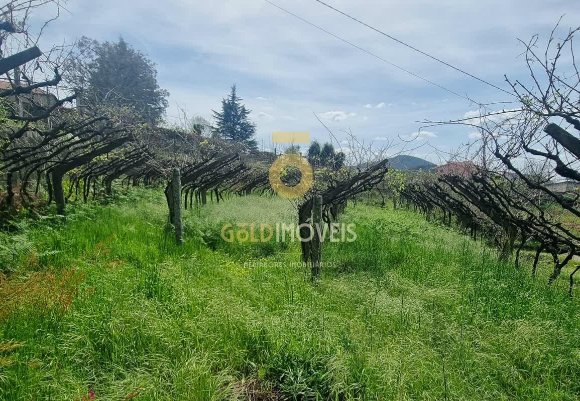 Terreno Para Construção  Venda em Santa Maria de Sardoura,Castelo de Paiva